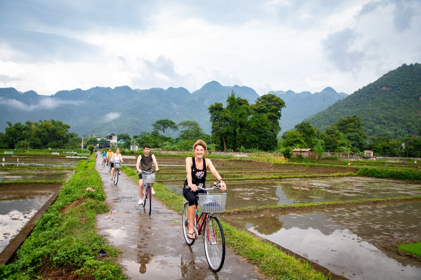 Group of tourists cycling through flooded rice paddies with limestone mountains — northern Thailand