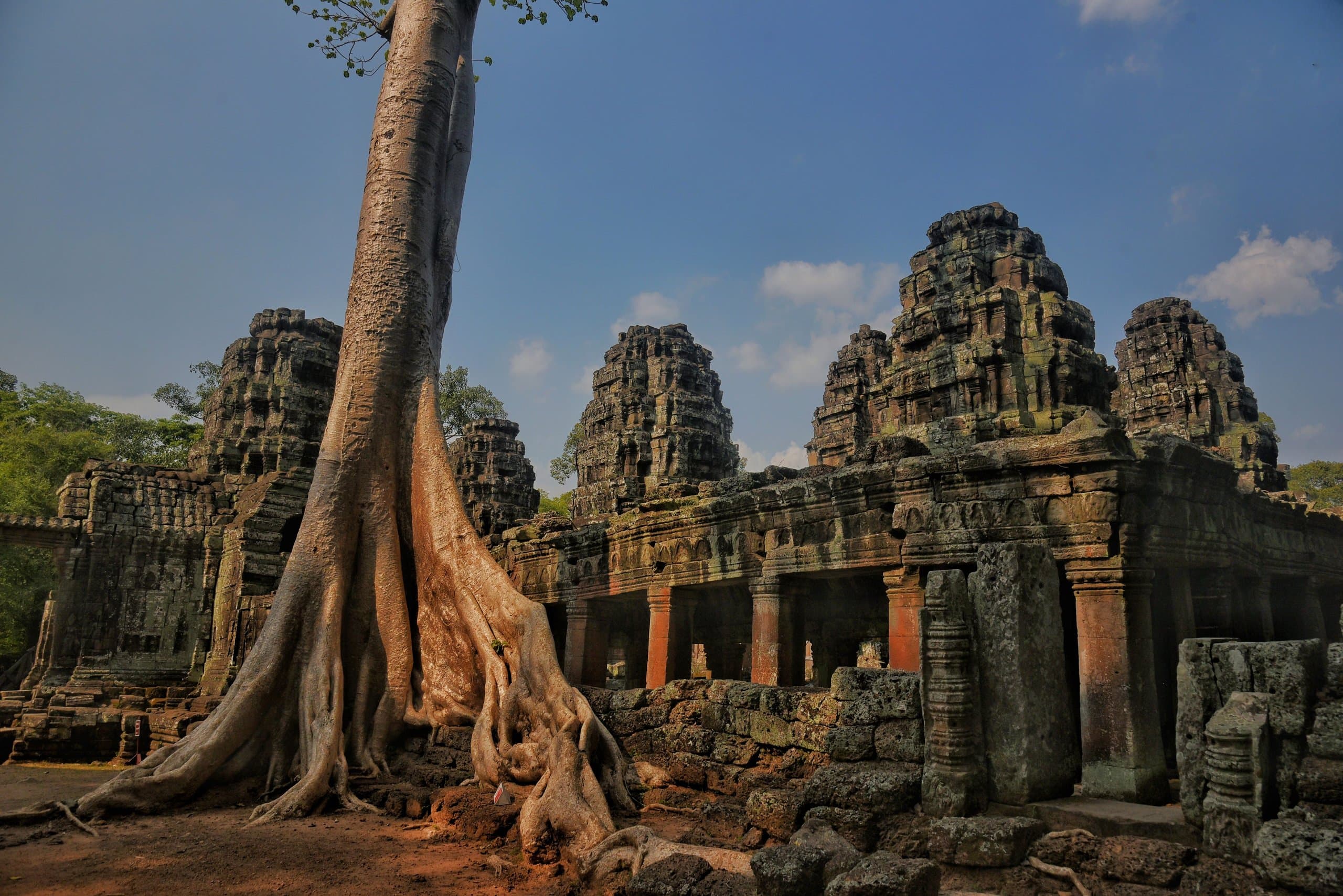นครวัด-นครธม (อังกอร์): จากพระอาทิตย์ขึ้นสู่รากไม้