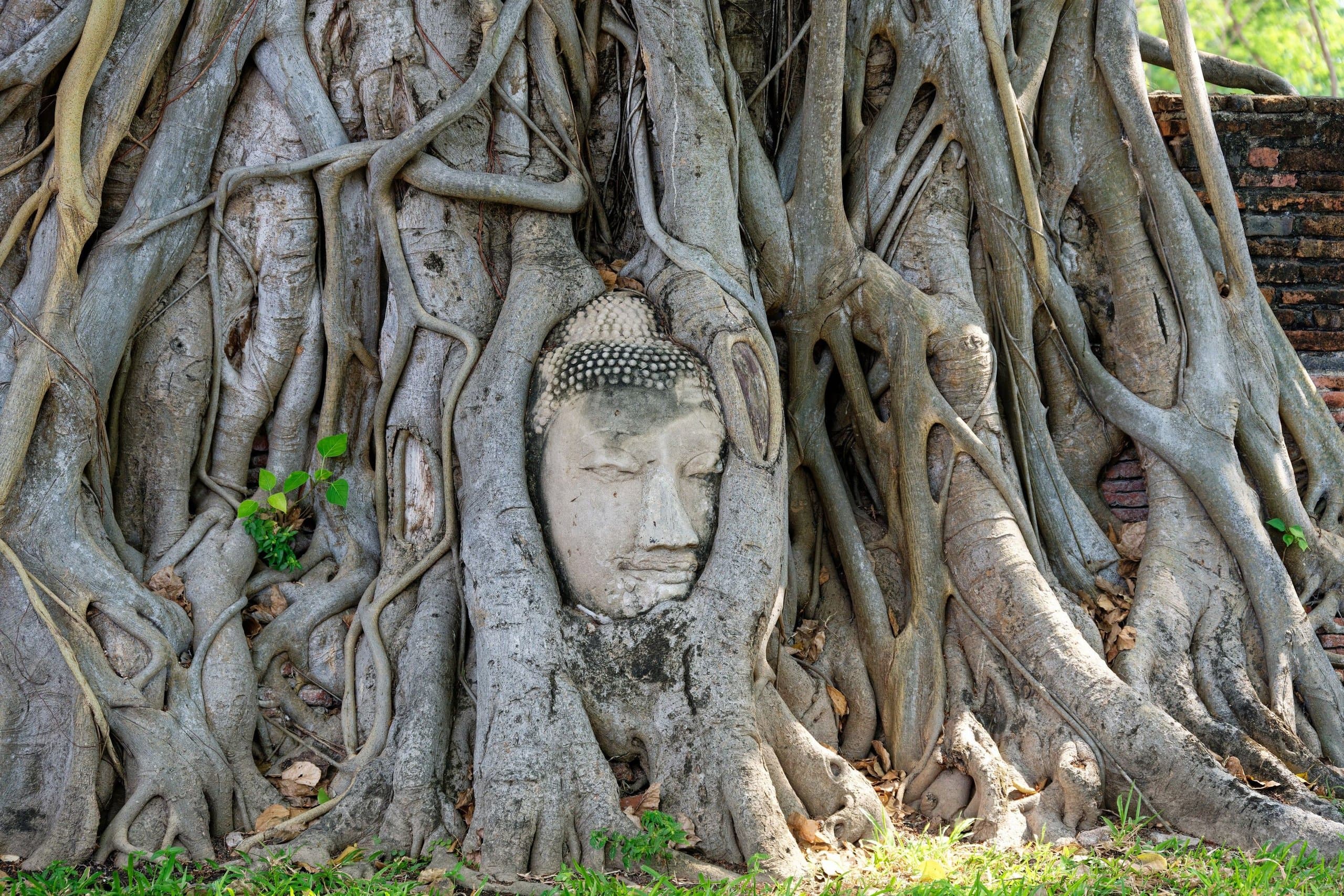 Ayutthaya, the Lost Capital