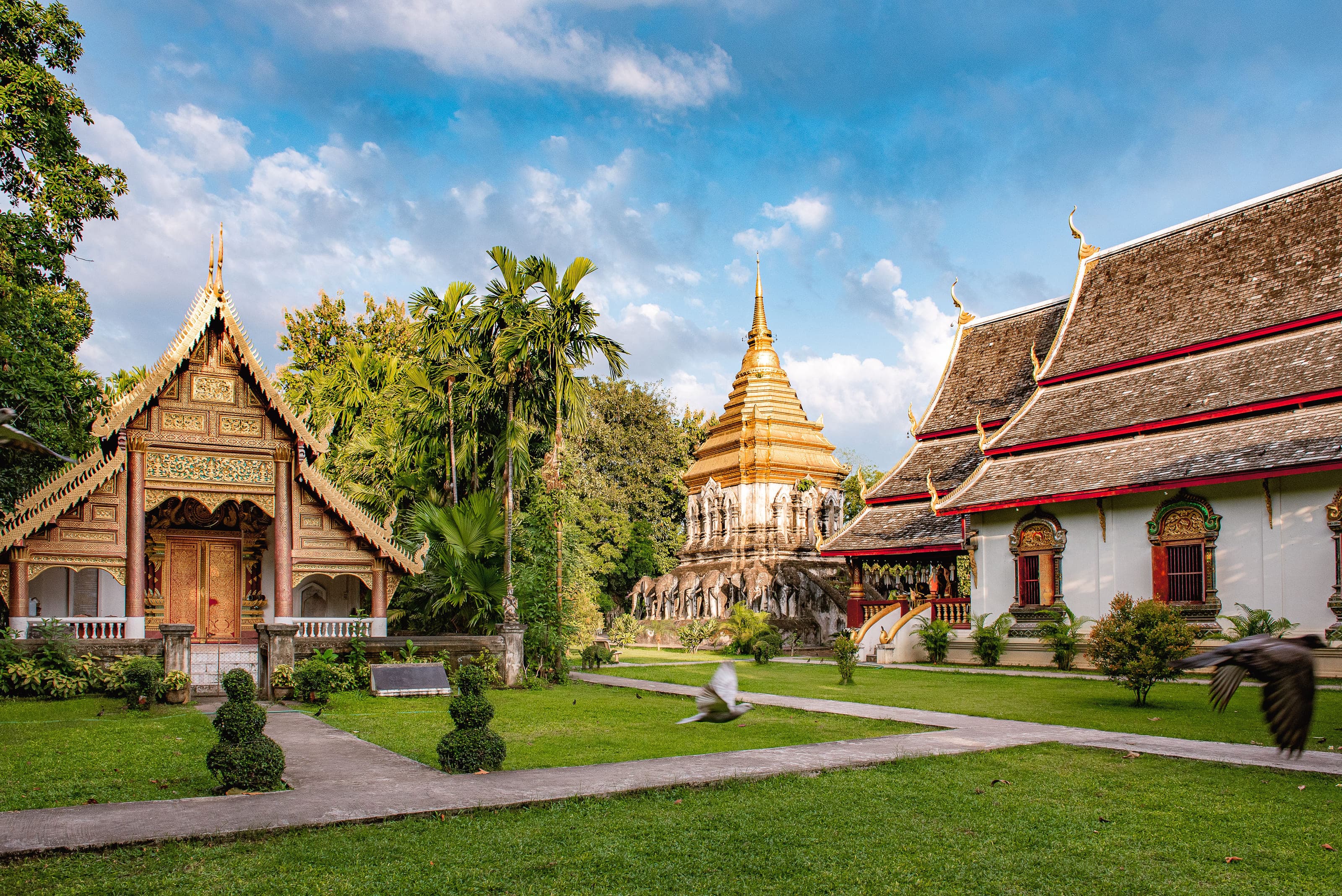 Cẩm nang Chiang Mai cao cấp: ở đâu và trải nghiệm gì