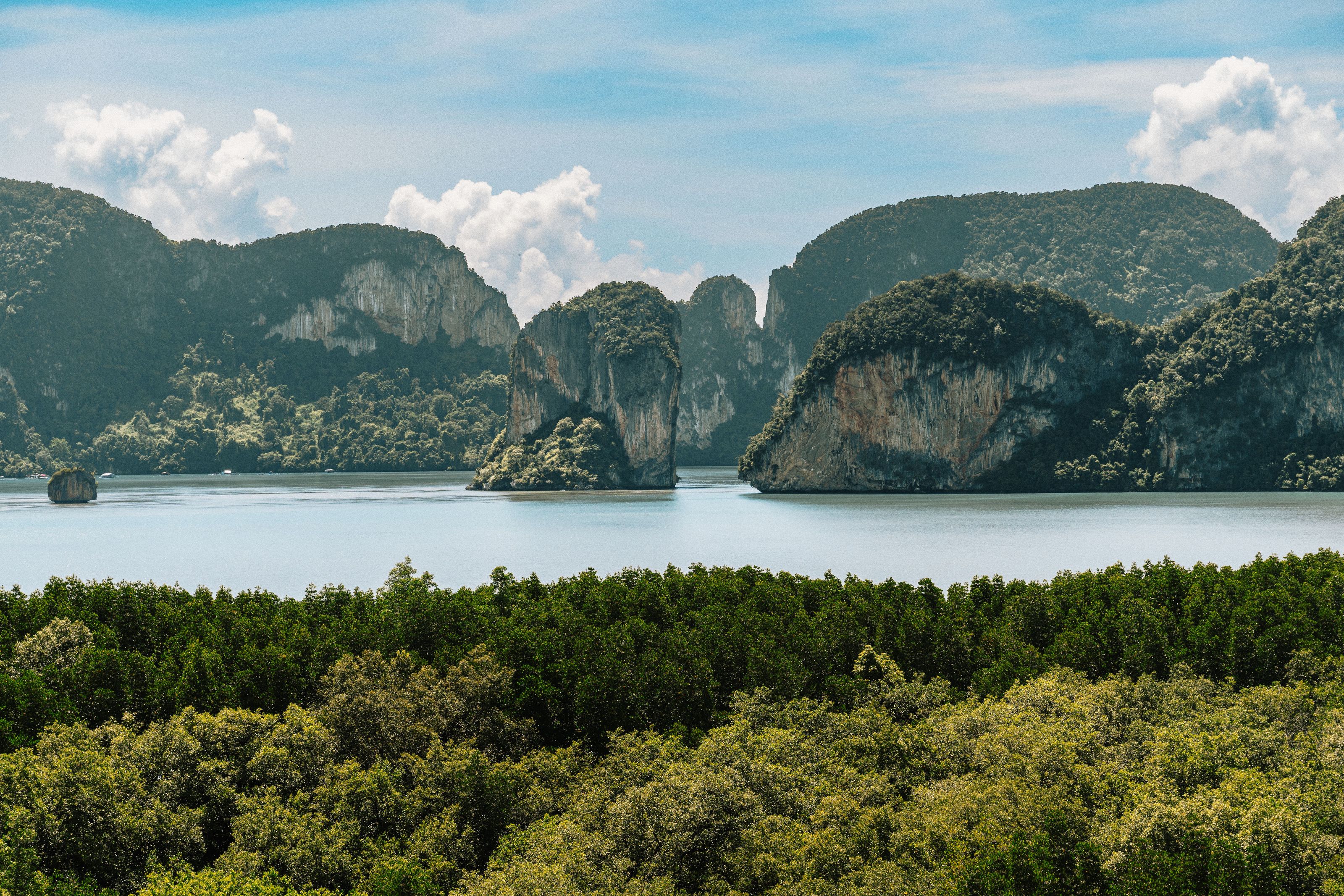 Những khối núi đá vôi nhô lên từ Vịnh Phang Nga, nhìn từ một điểm ngắm cảnh phía trên rừng ngập mặn.
