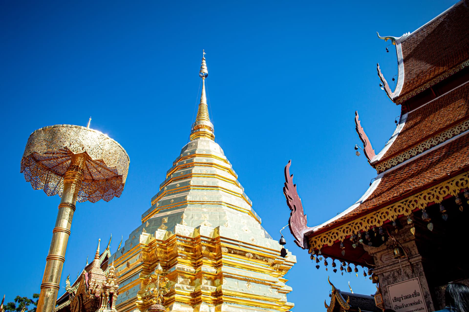 Wat Phra That Doi Suthep, the gold chedi above the city, at its clearest in the early morning light.