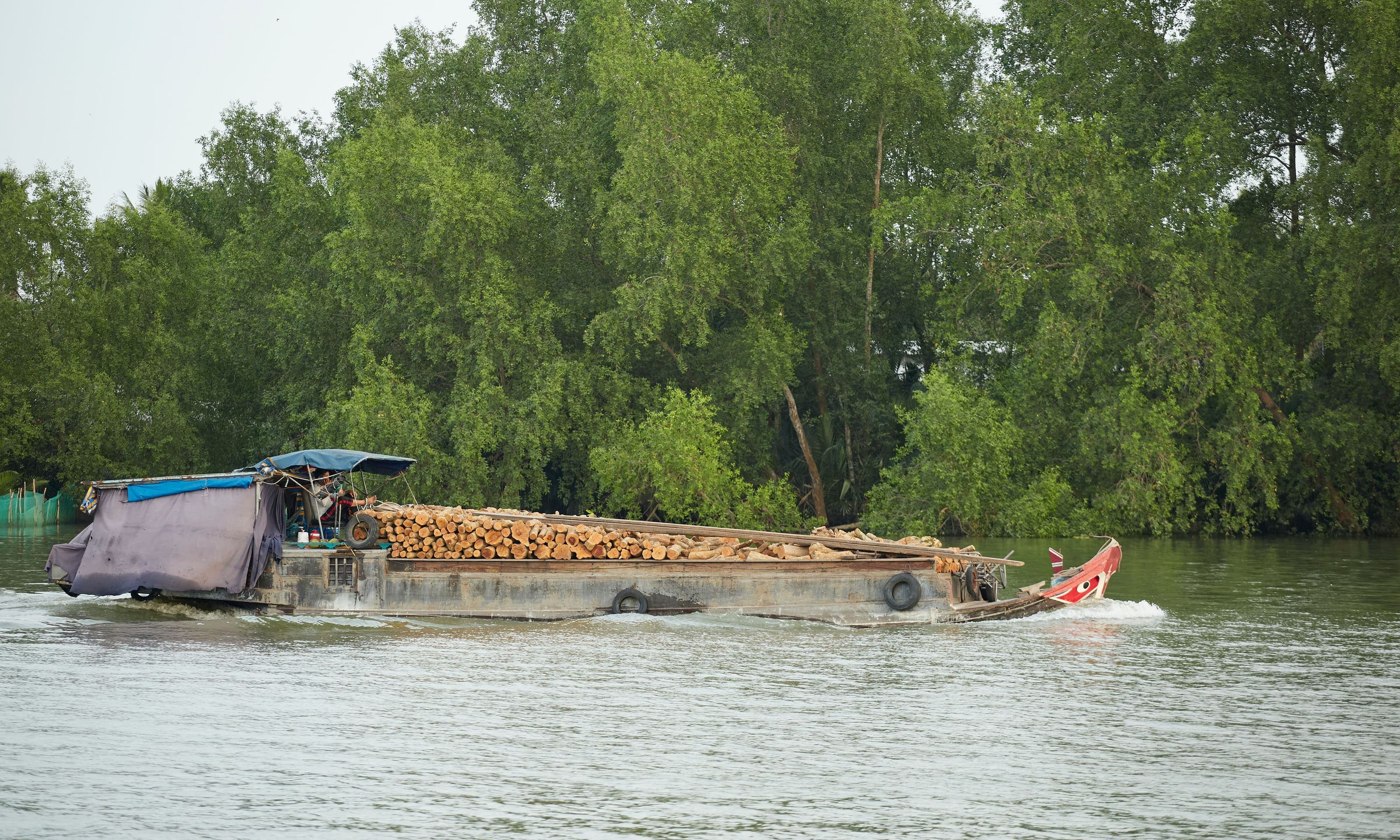 Mekong Delta Day Trip from Ho Chi Minh City: How Far and How Long