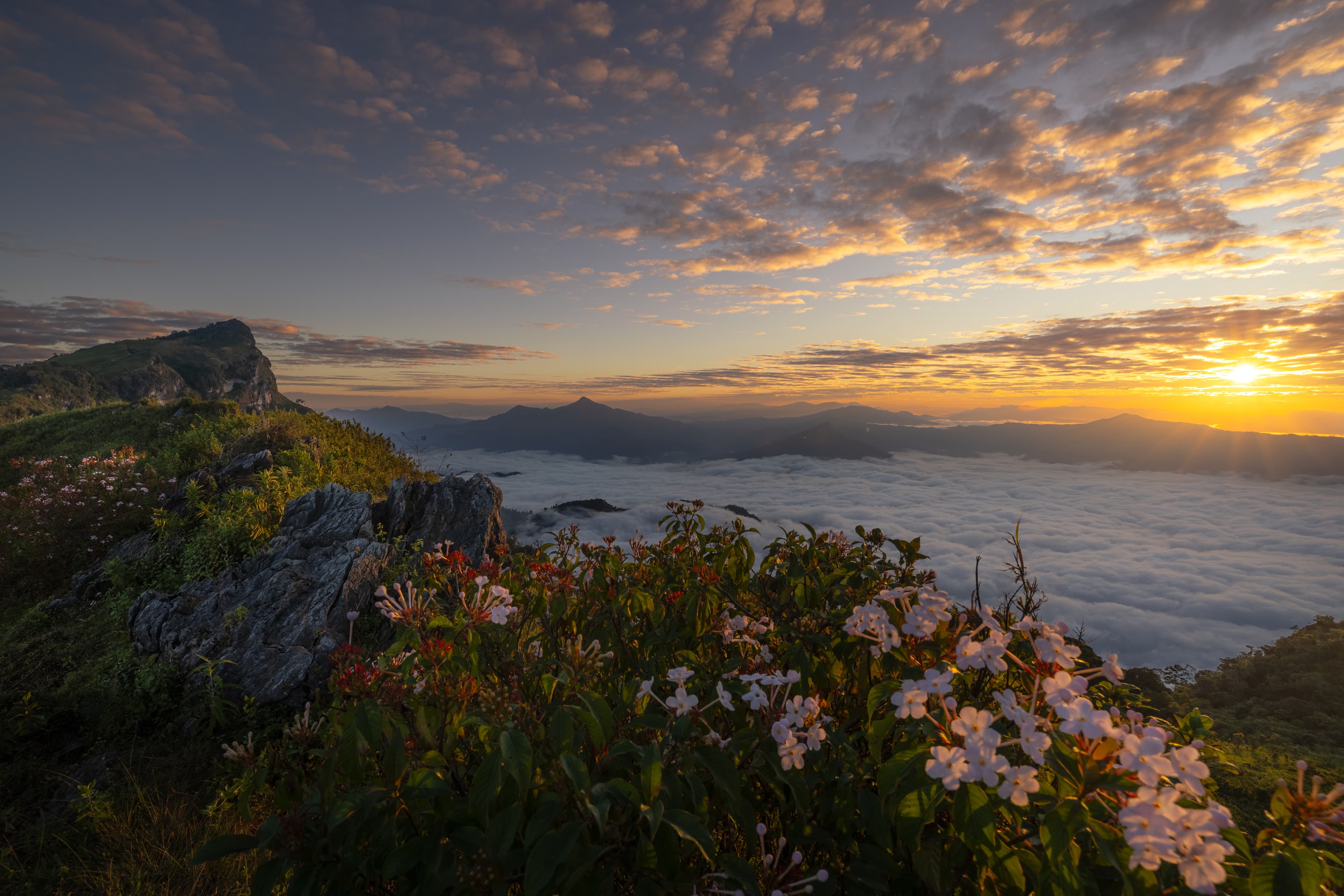 A Local's Guide to Luxury Private Travel in Northern Thailand