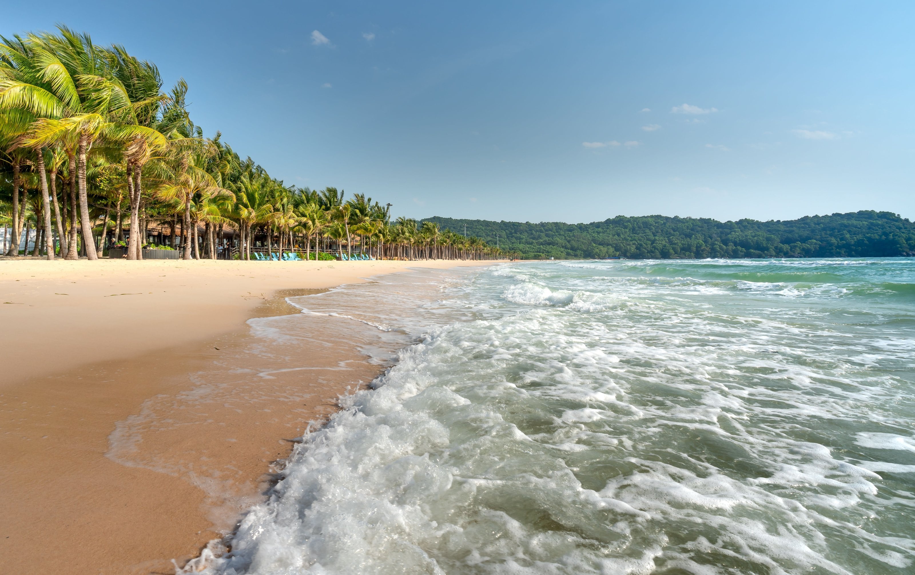 Palmeras de coco a lo largo de una playa dorada en Phu Quoc, con olas pequeñas que llegan a la orilla