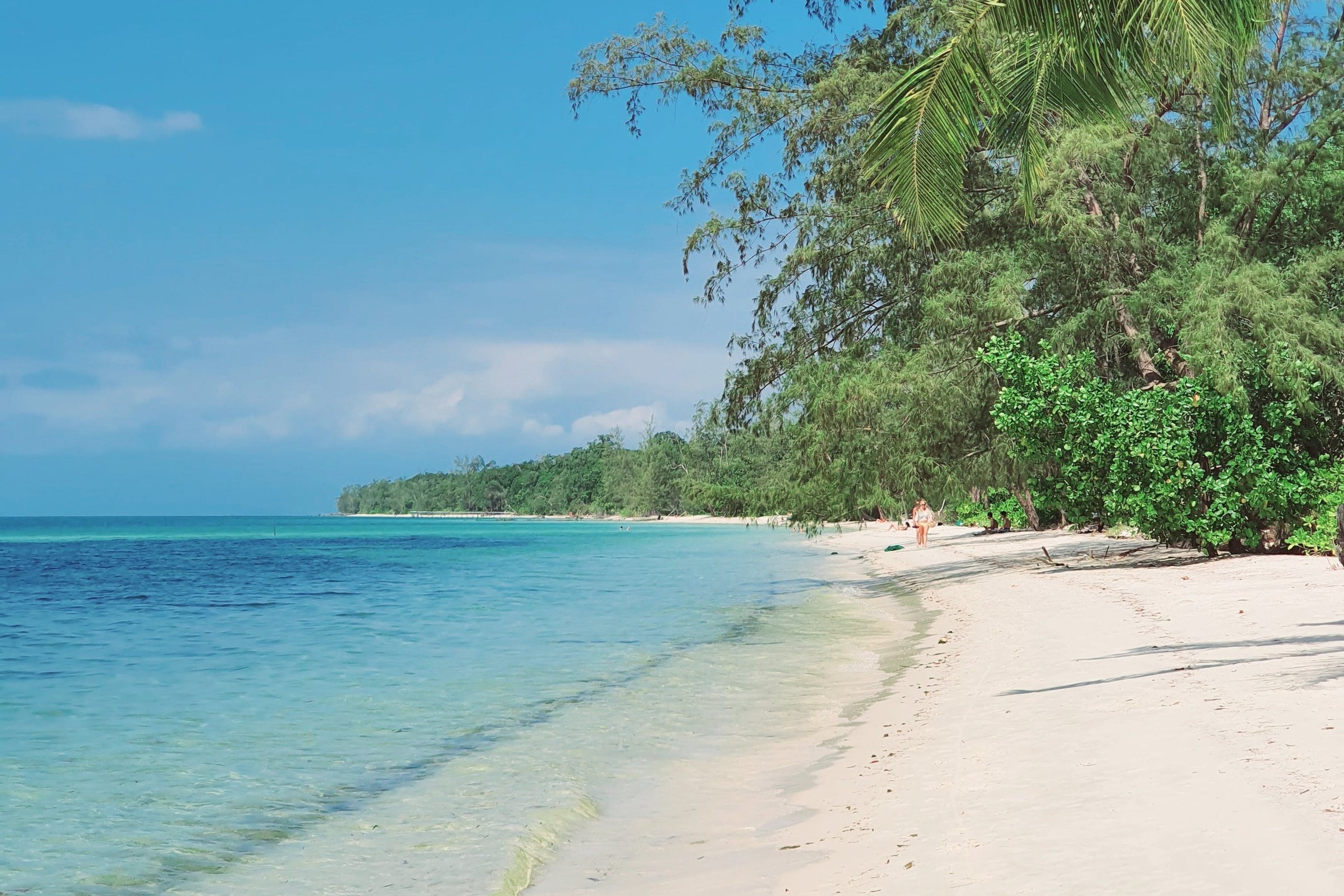 مياه صافية وشاطئ برمال بيضاء تصطف على حافته أشجار الكازوارينا في فو كووك (Phu Quoc)