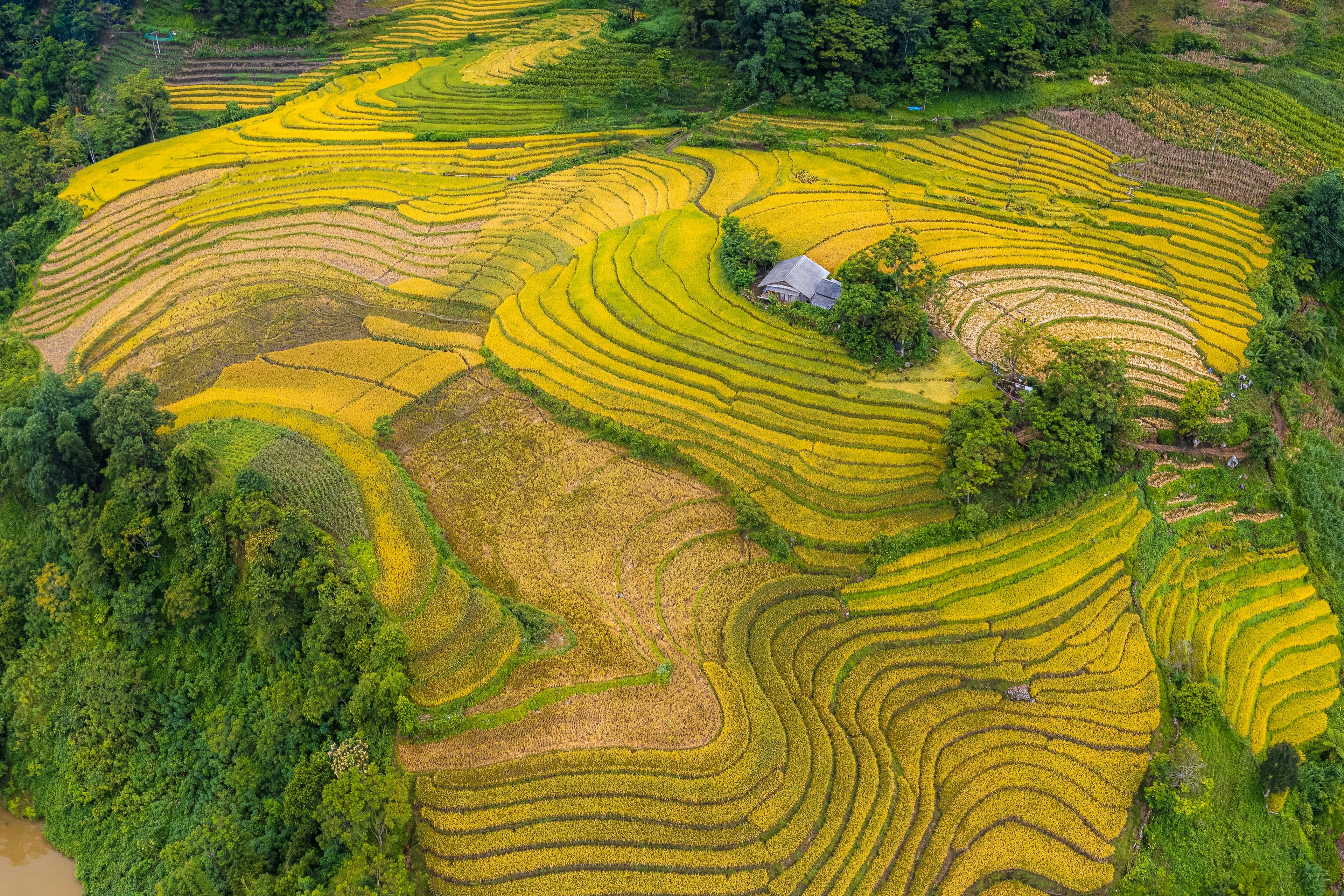 Northern Vietnam & the Sapa Highlands