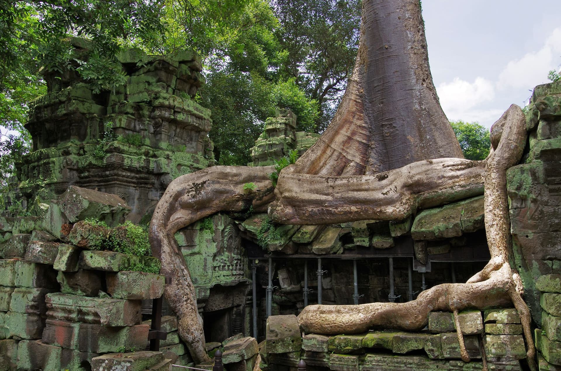 Ta Prohm, the temple left in the grip of the forest, where tree roots have grown through the stonework.