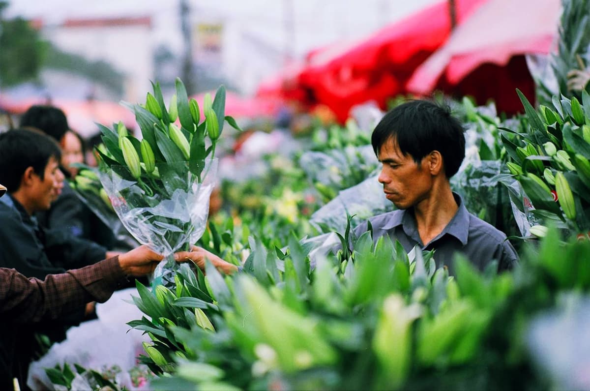 Flowers offered for sale at a Tet market in Vietnam.
