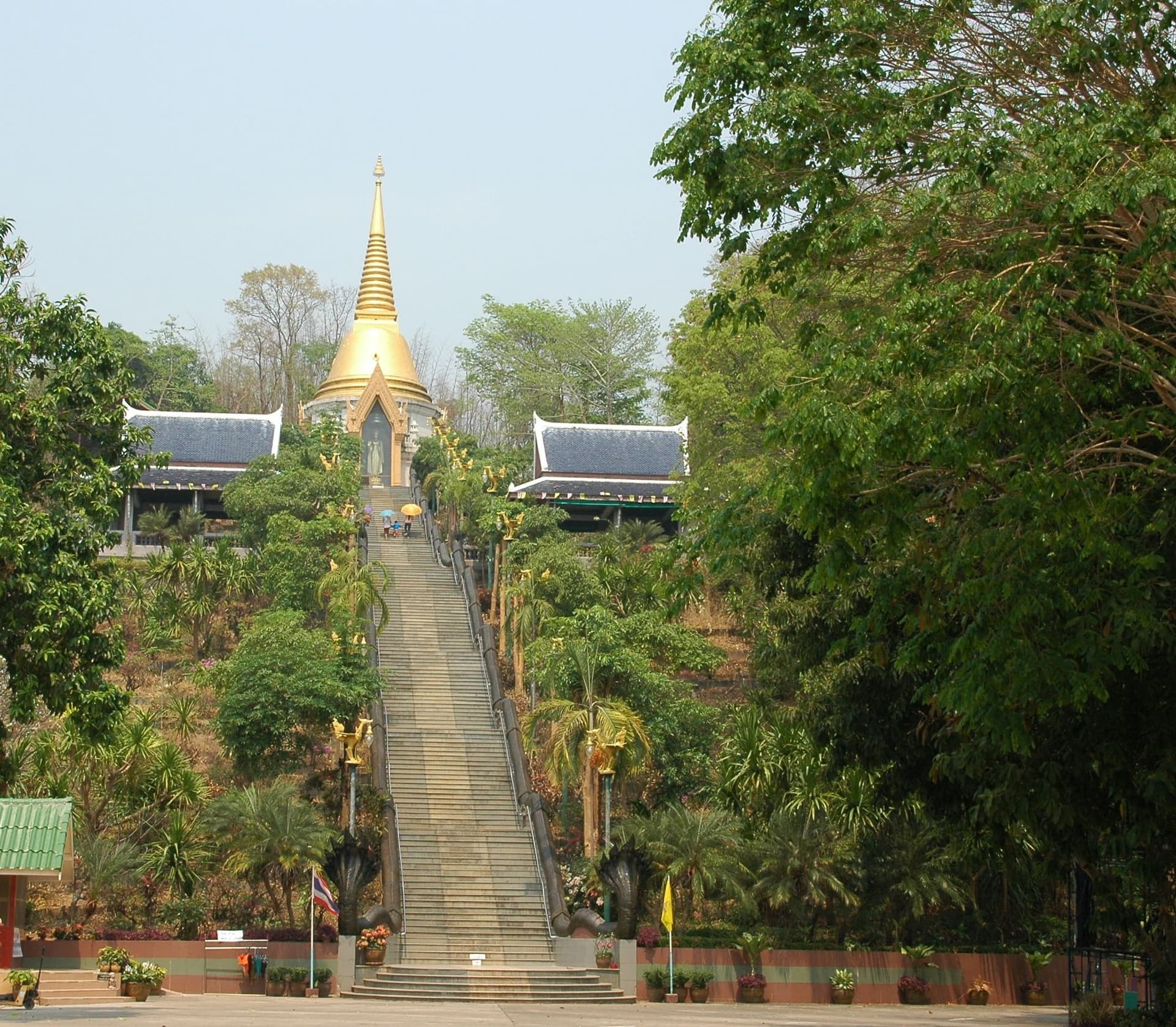 The golden-spired chedi rises at the head of a long ceremonial stairway through the temple's forest grounds.