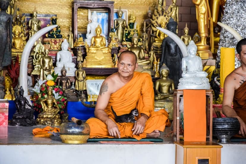 A monk of the Thai forest tradition among the shrine's images. Wat Pa Phu Kon is a working meditation monastery, not a museum.